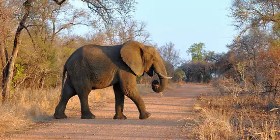 Südafrika Reiseversicherung 