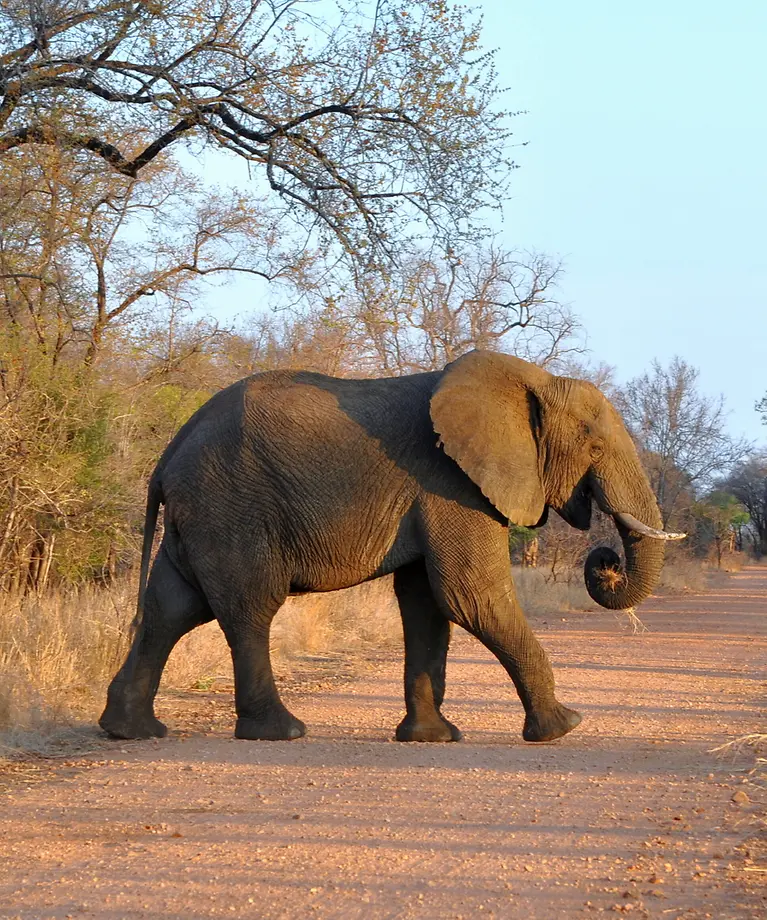 Südafrika Reiseversicherung 