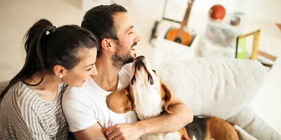 Ein Paar mit Hund sitzt glücklich auf dem Sofa ihrer Wohnung.